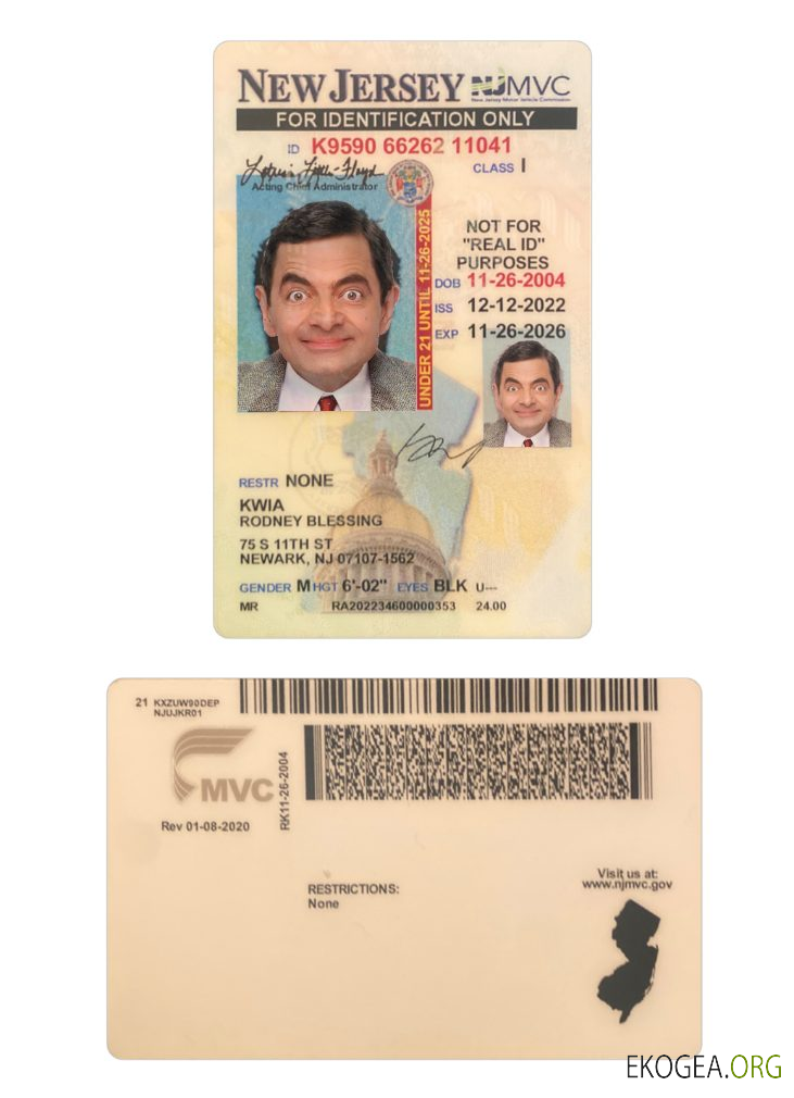 Carte d'identité des moins de 21 ans du New Jersey des États Unis